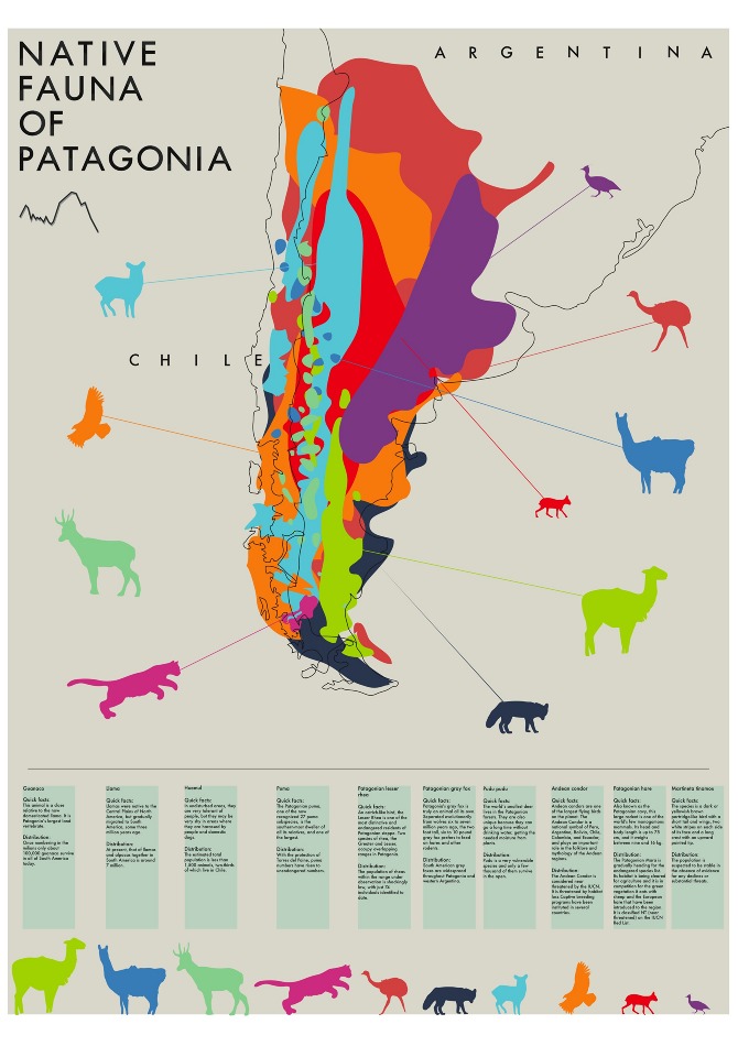 Native Fauna of Patagonia poster - Emma Johnson